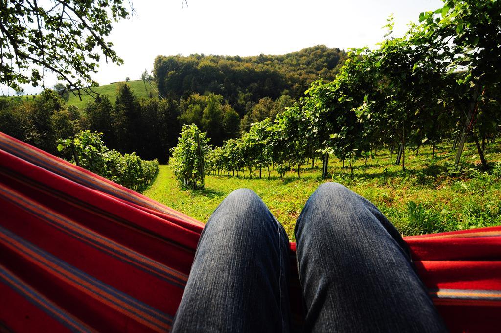 Weingut Winzerzimmer Rothschaedl Leutschach Luaran gambar