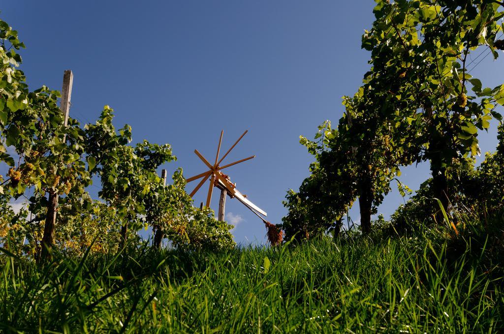 Weingut Winzerzimmer Rothschaedl Leutschach Luaran gambar