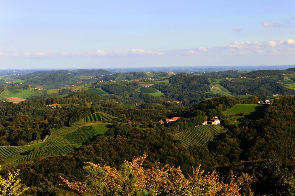 Weingut Winzerzimmer Rothschaedl Leutschach Luaran gambar